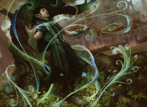 Evolution Sage