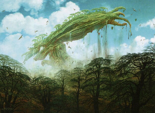 Kodama’s Reach
