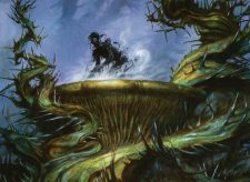 Mimic Vat