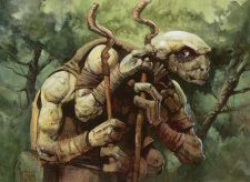 Sakura-Tribe Elder