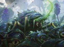 Scute Swarm