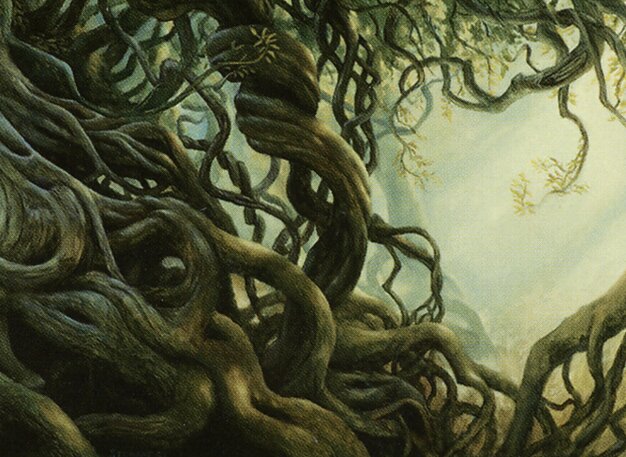Wall of Roots