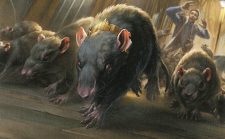Wave of Rats