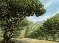 Exotic Orchard