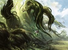 Kodama’s Reach