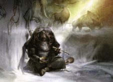 Shamanic Revelation
