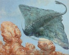 Cloudskate
