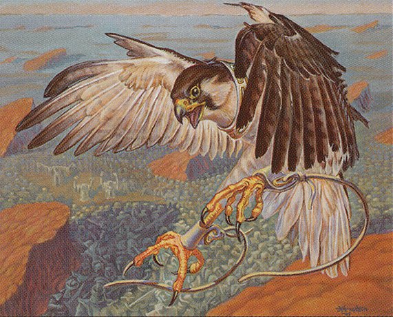 Defiant Falcon