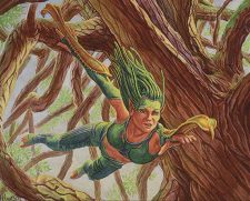 Treetop Bracers