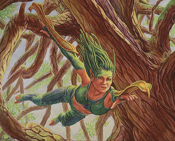 Treetop Bracers