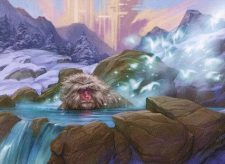 Invigorating Hot Spring