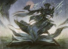 Storyweave
