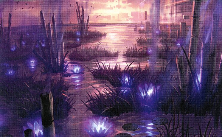 Takenuma, Abandoned Mire