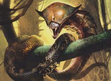 Death-Hood Cobra
