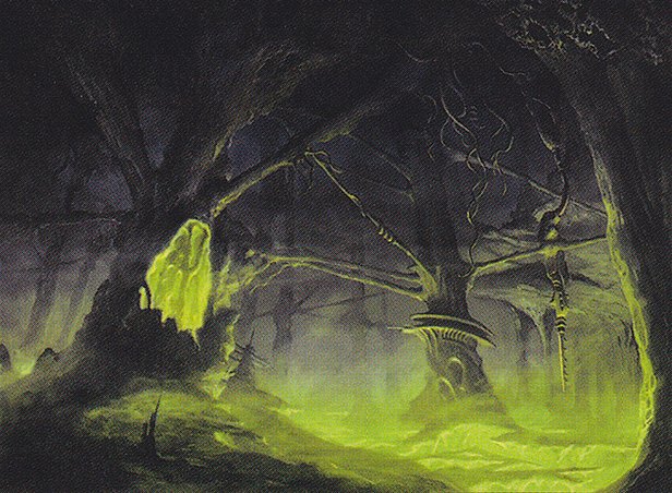 Swamp