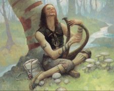 Druid Lyrist