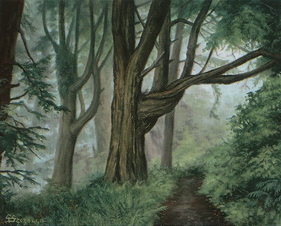 Forest
