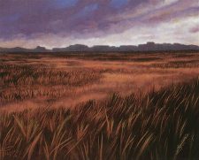 Plains