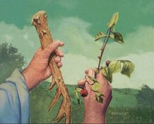 Rites of Spring