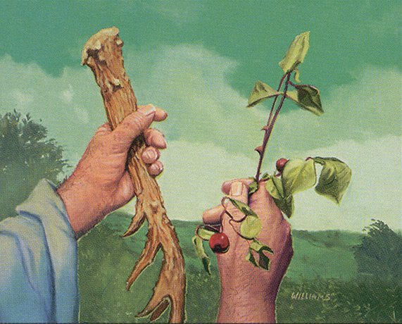 Rites of Spring