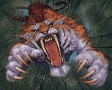 Springing Tiger
