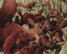 Squirrel Mob