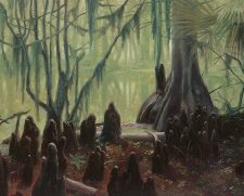 Swamp