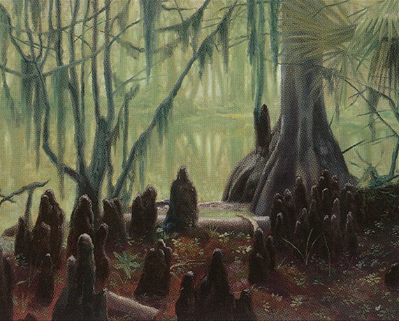 Swamp