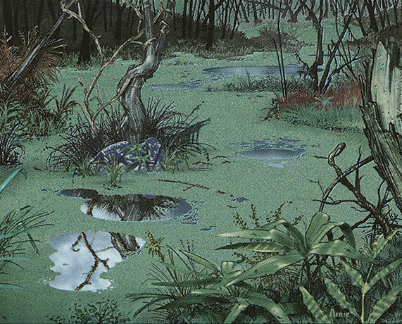 Swamp