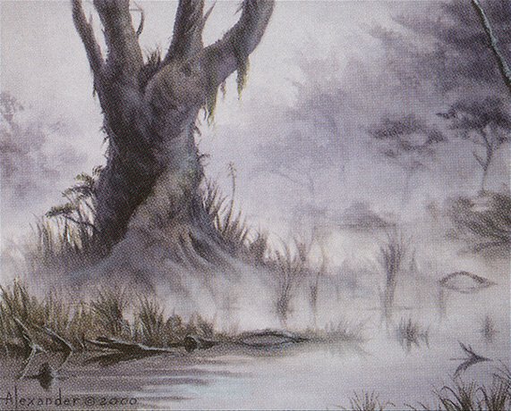 Swamp