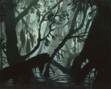 Swamp