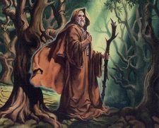 Woodland Druid