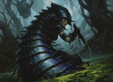 Chitinous Cloak