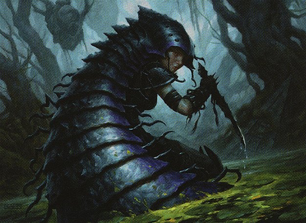 Chitinous Cloak