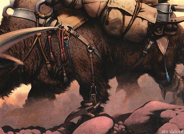 Strider Harness