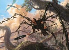 Vines of the Recluse
