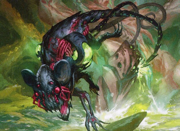 Blightbelly Rat