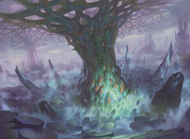 Conduit of Worlds
