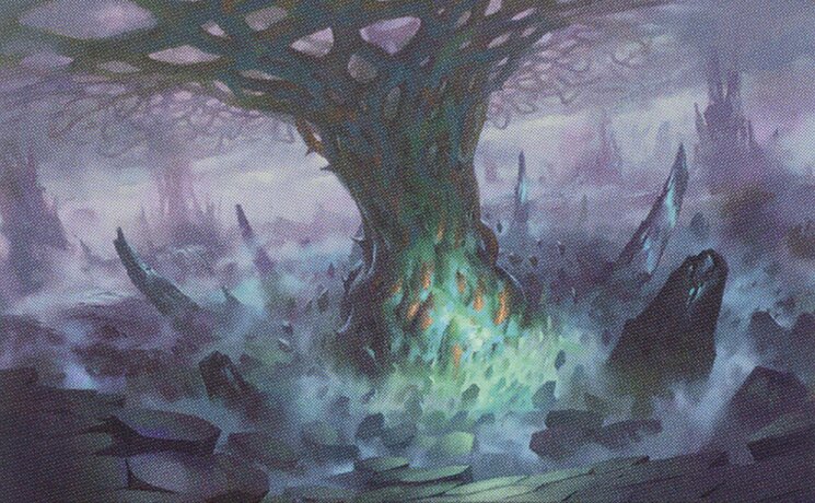 Conduit of Worlds