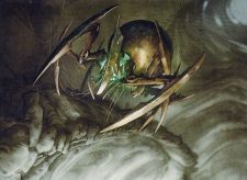 Copper Longlegs