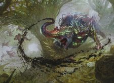 Evolved Spinoderm