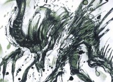 Evolved Spinoderm