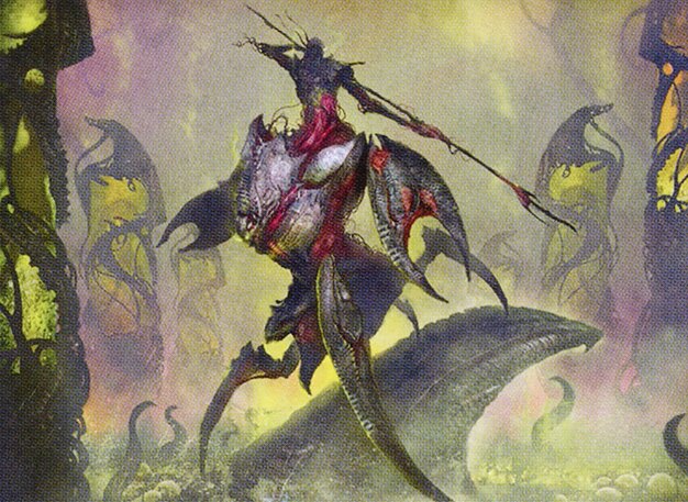 Nimraiser Paladin