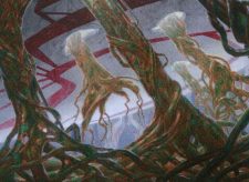 Razorverge Thicket