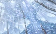 The Mycosynth Gardens