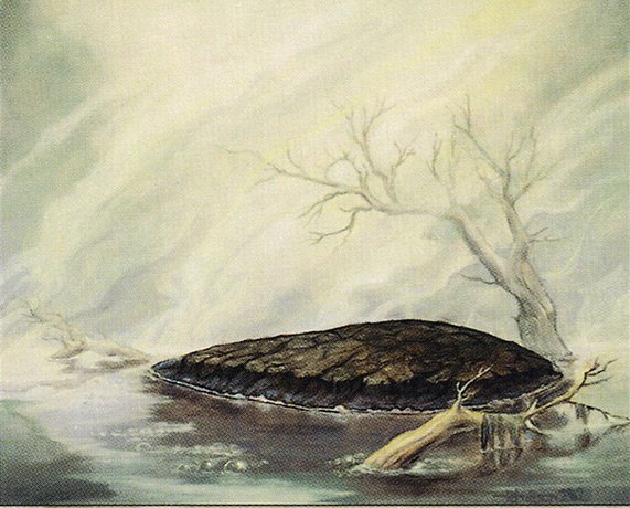 Barren Moor