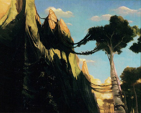 Contested Cliffs