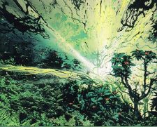 Explosive Vegetation