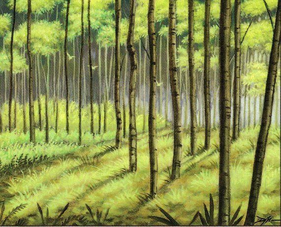 Forest