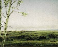 Plains